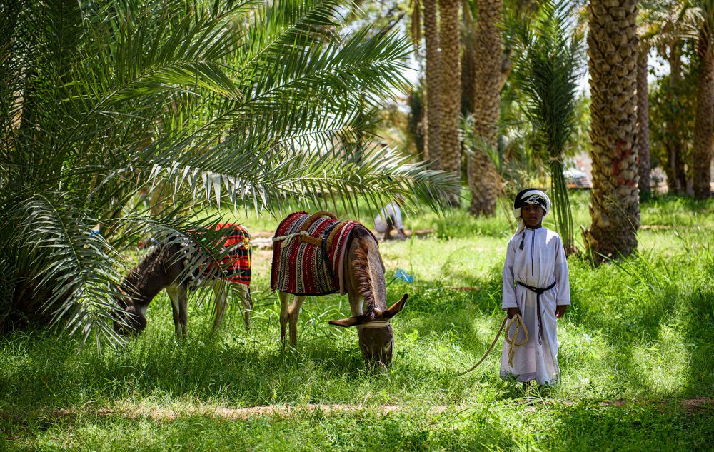 Photograph by Nuwair ALHajeri