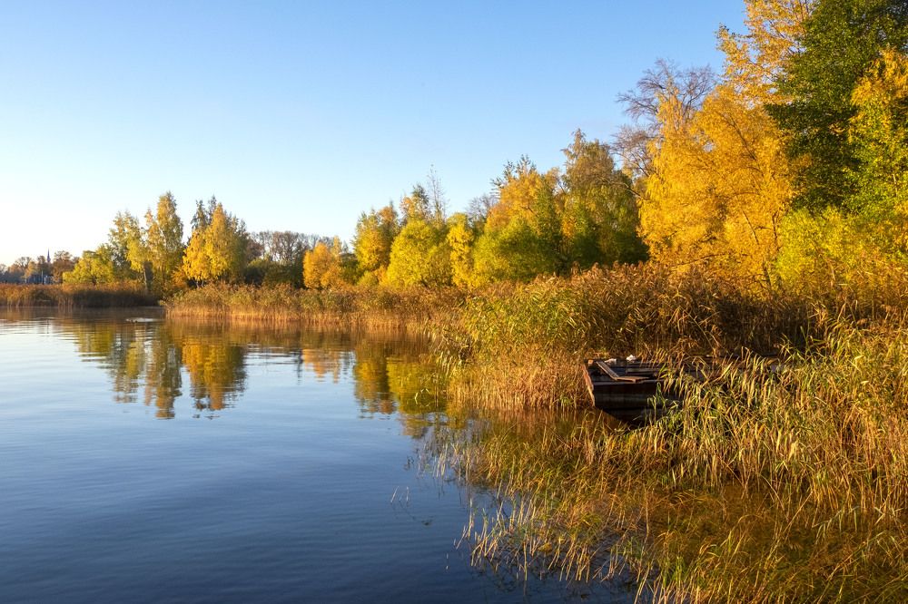 На озере Селигер