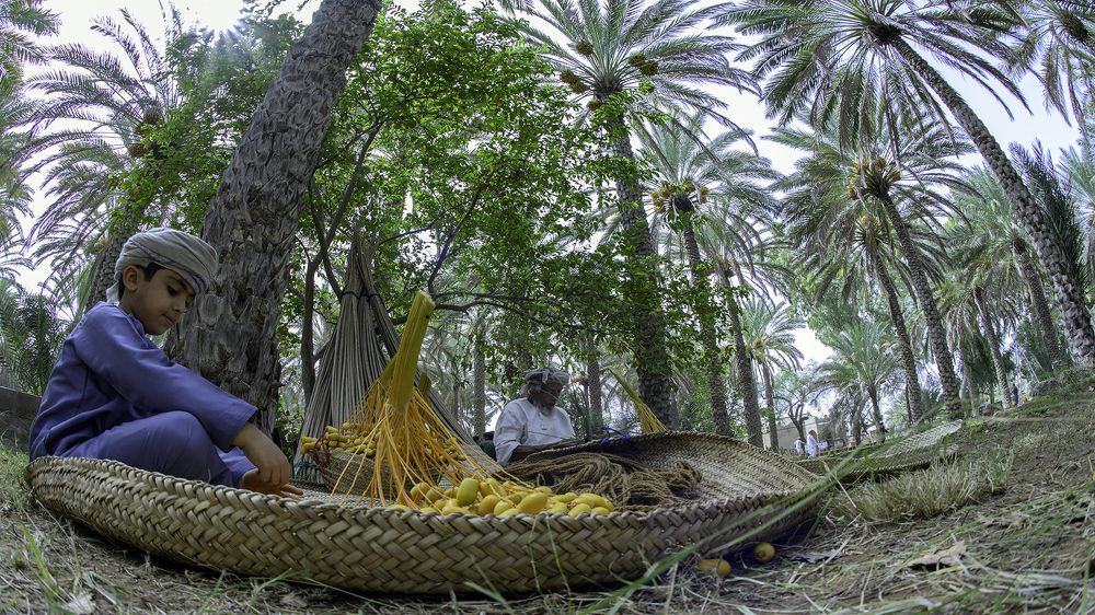 Photograph by Nuwair ALHajeri