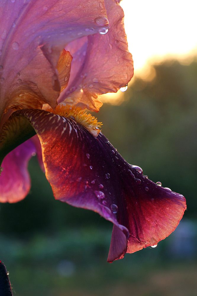 Фотография автора Любовь Харина