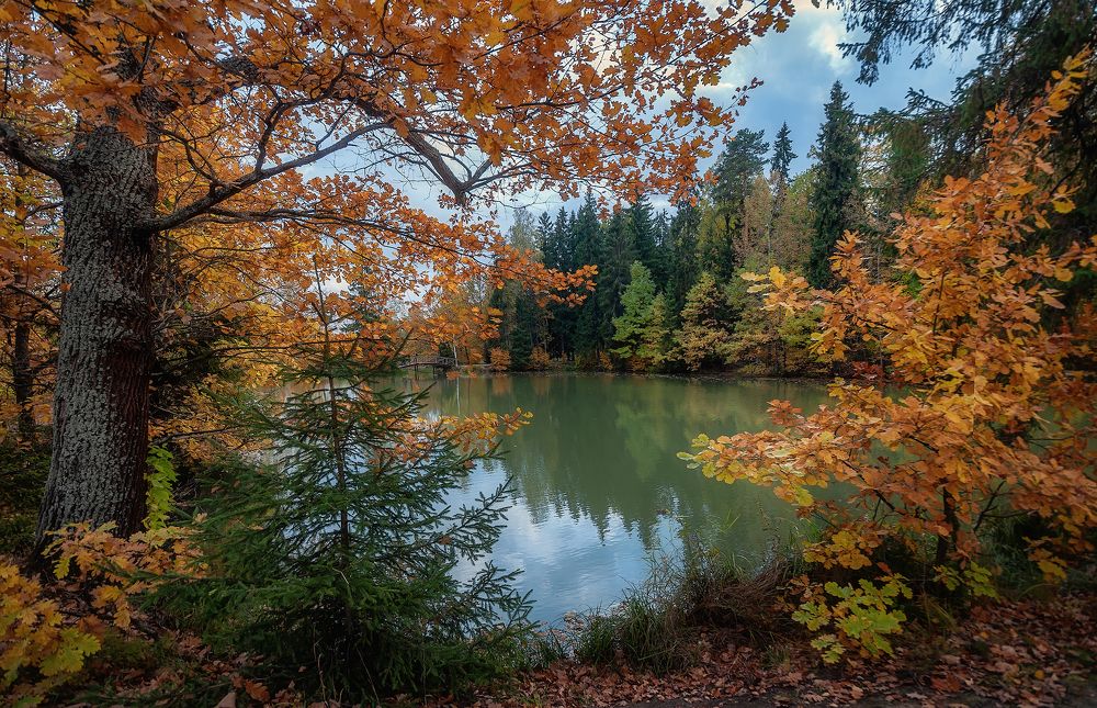 Photograph by Сергей Аникин