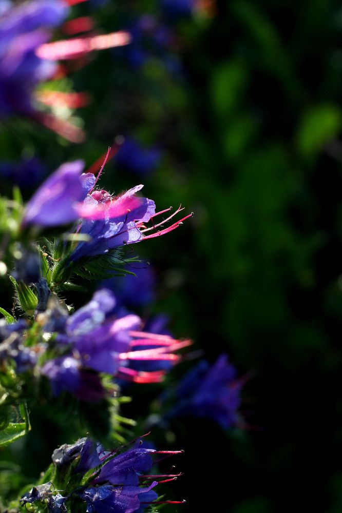 Фотография автора Любовь Харина