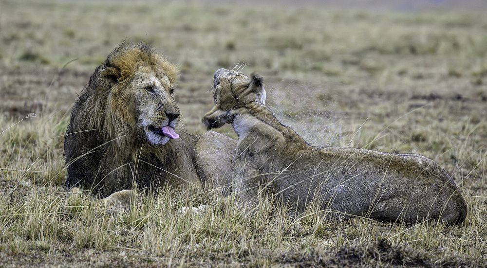 Photograph by Nuwair ALHajeri