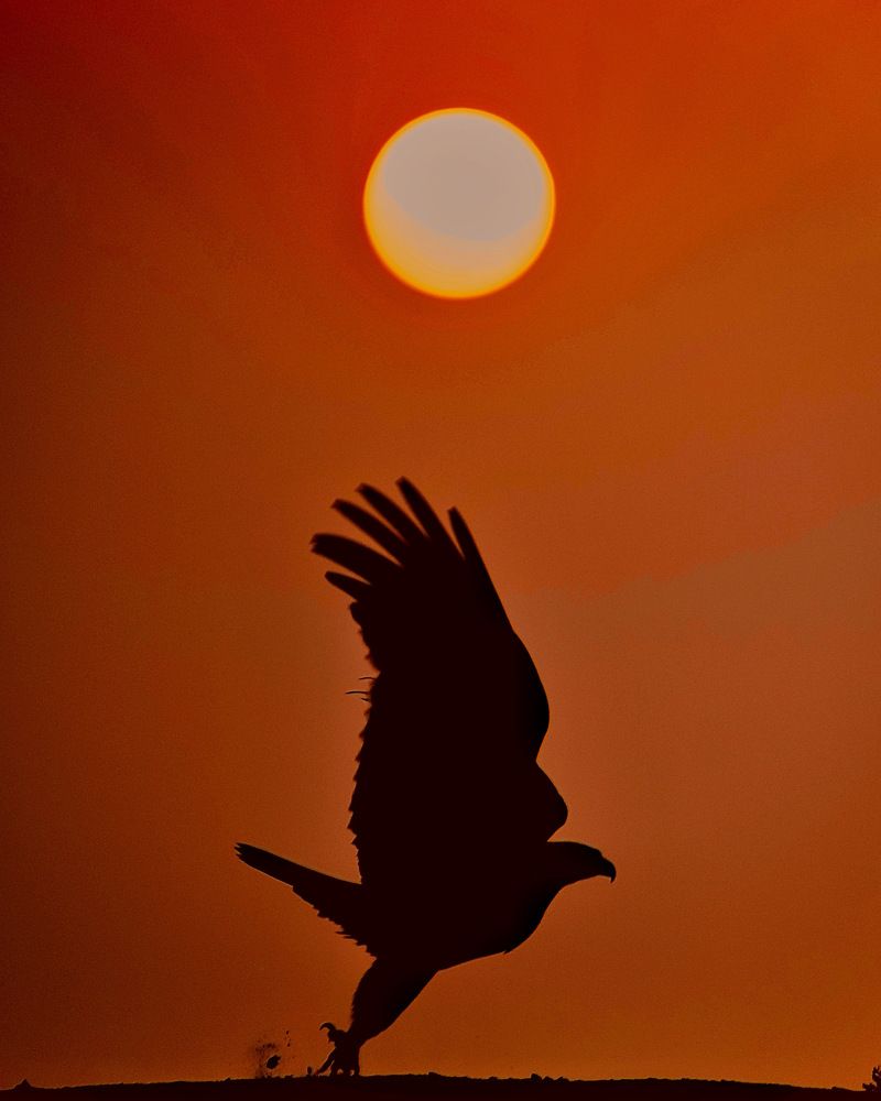 Photograph by Rahul Meani