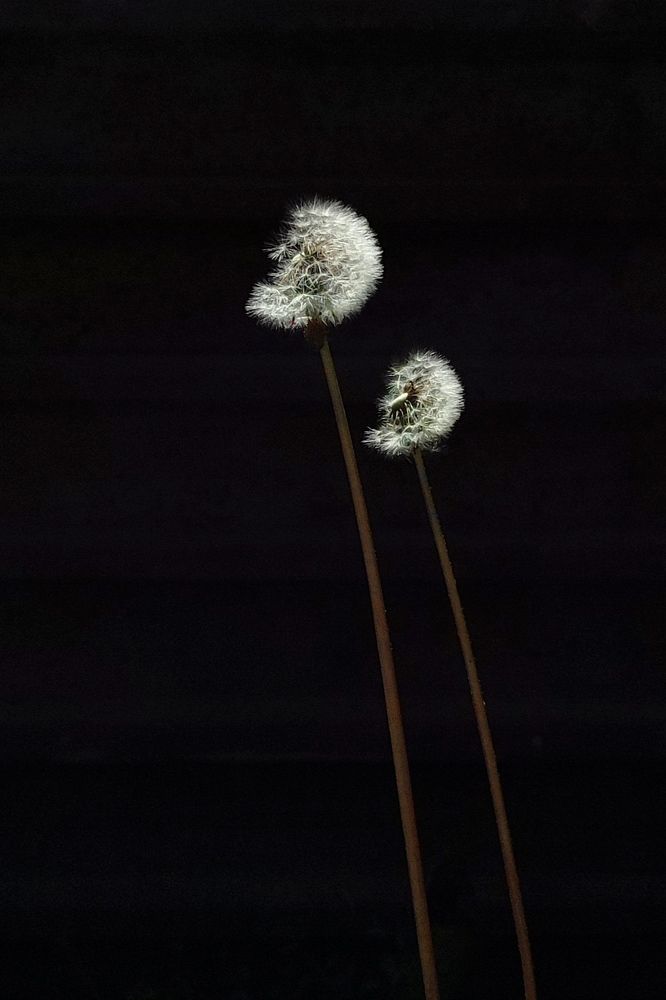 Photograph by Olesya Mikhailova