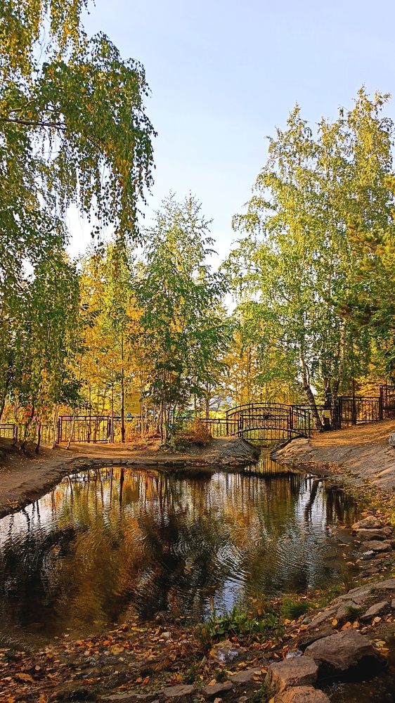 Осень у воды