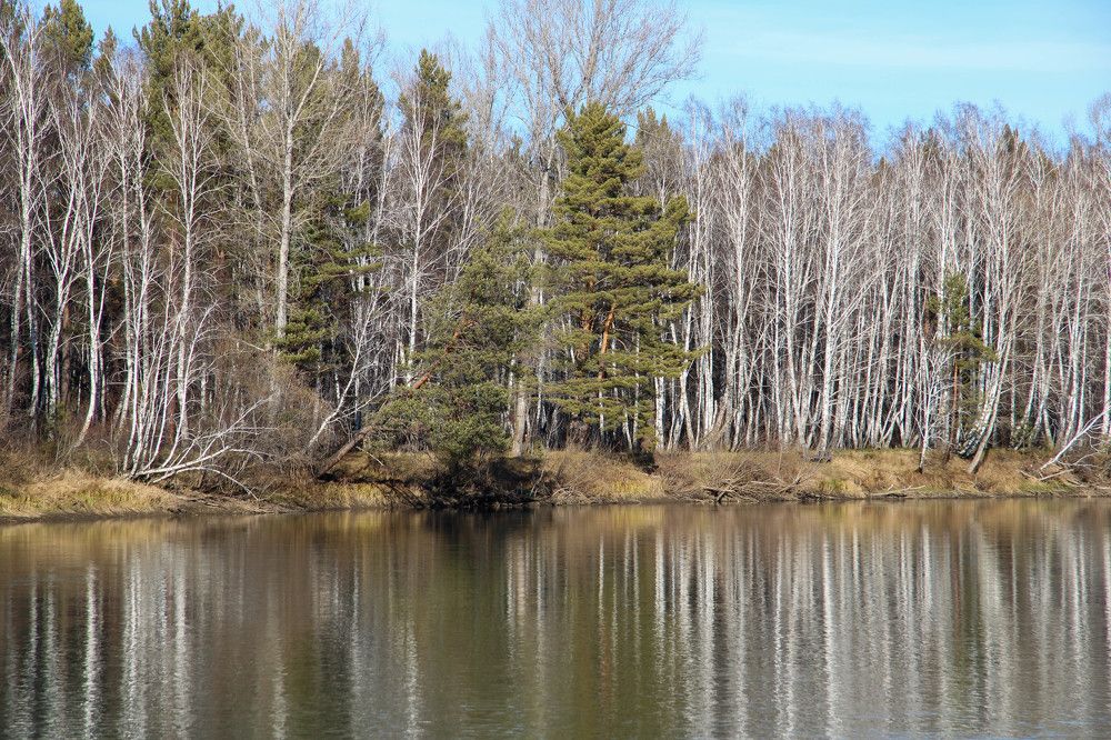 Photograph by Алексей Швецов