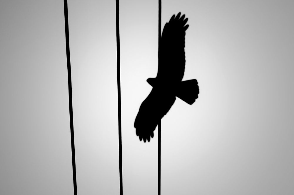 Photograph by Jahid Hasan Jamil