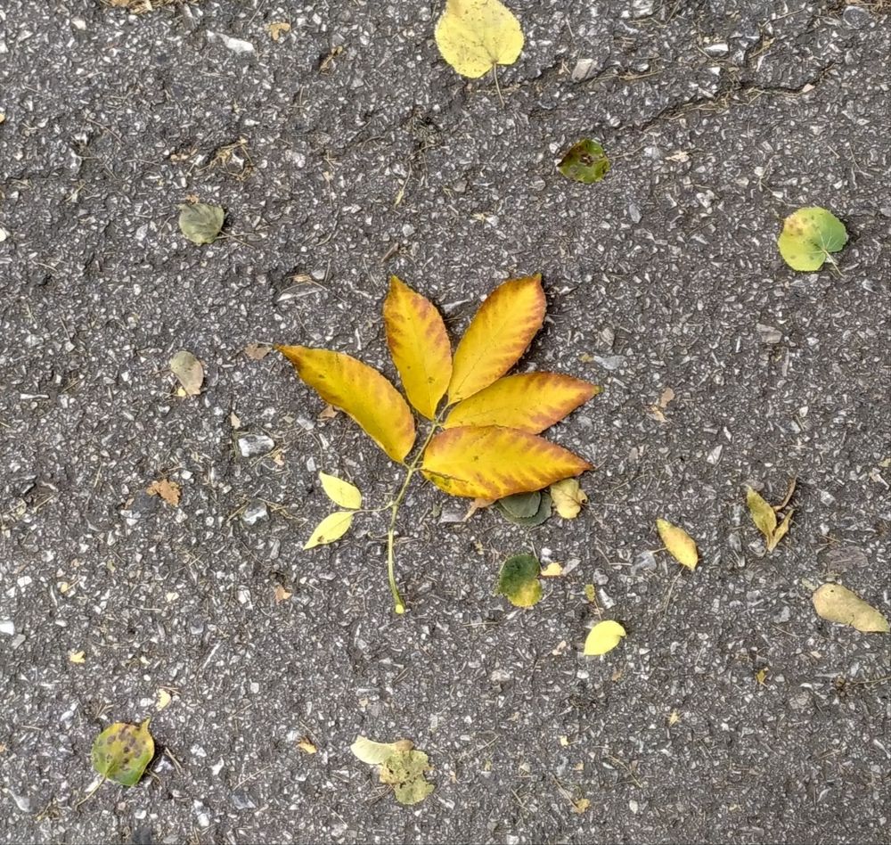 Photograph by Юлия Майкова