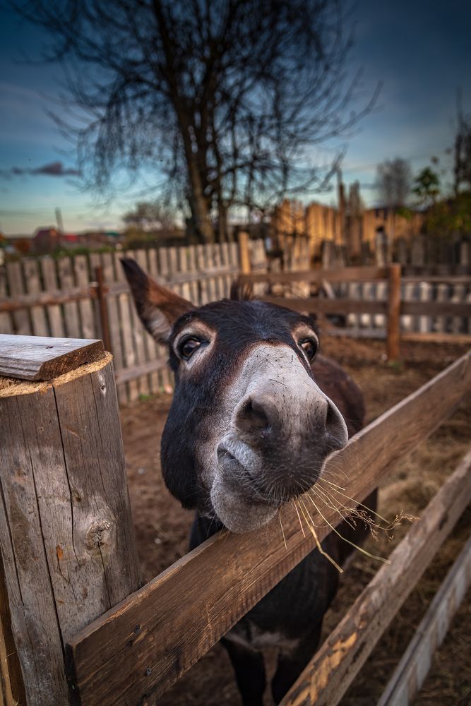 Фотография автора Шуплецов Алексей