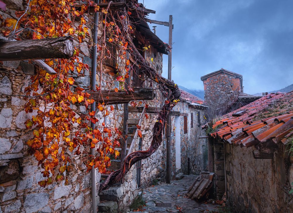 Photograph by Svetlana Tertyshnaya