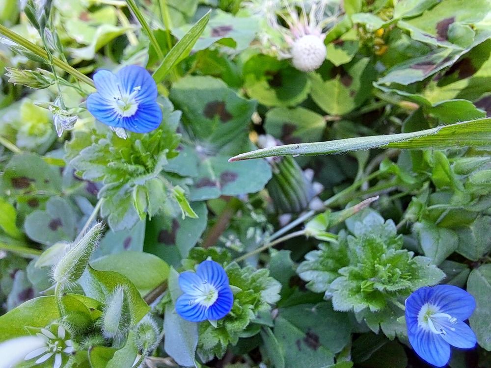 Photograph by gustavo pecelis