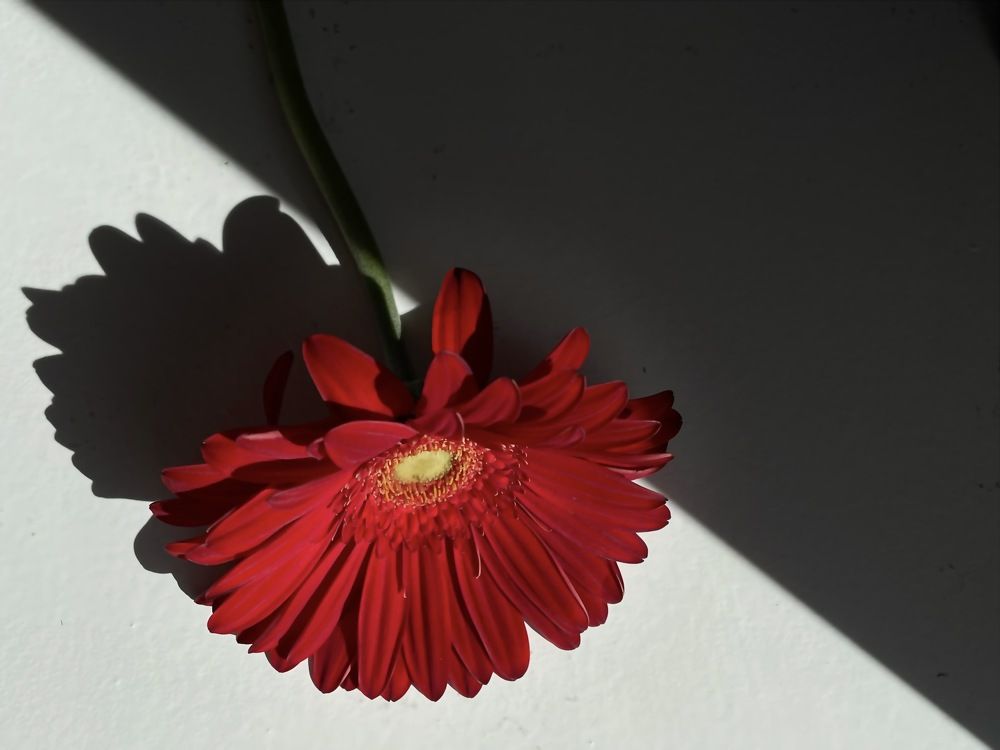 Фотография автора Рамзия Хисамутдинова