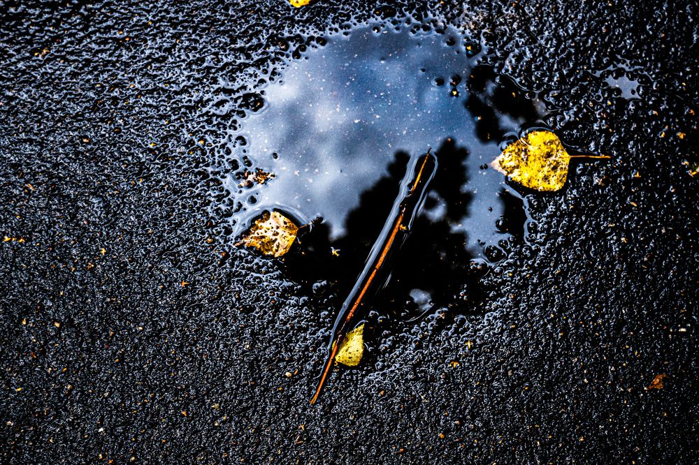 Photograph by Валерий Баклаженко