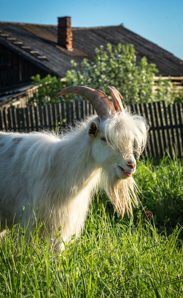 Фотография автора Шуплецов Алексей