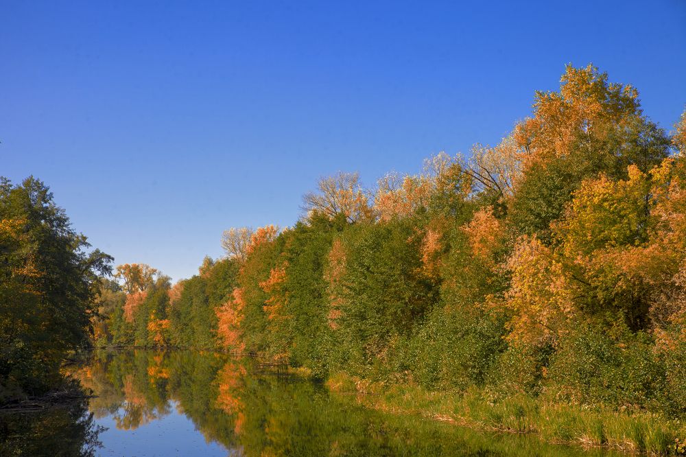 Photograph by Валерий Богачев