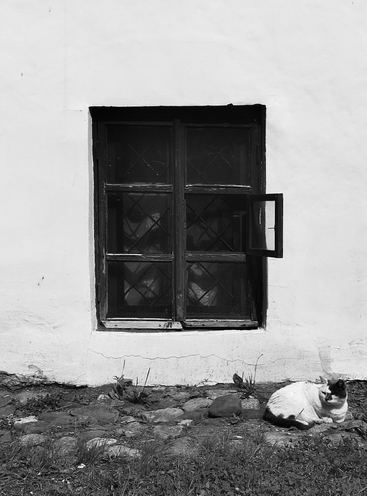 Photograph by Ira Sokol