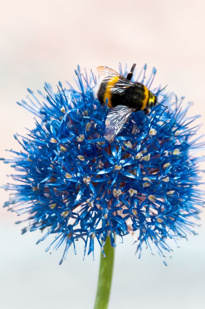 Photograph by Lyuba Moon