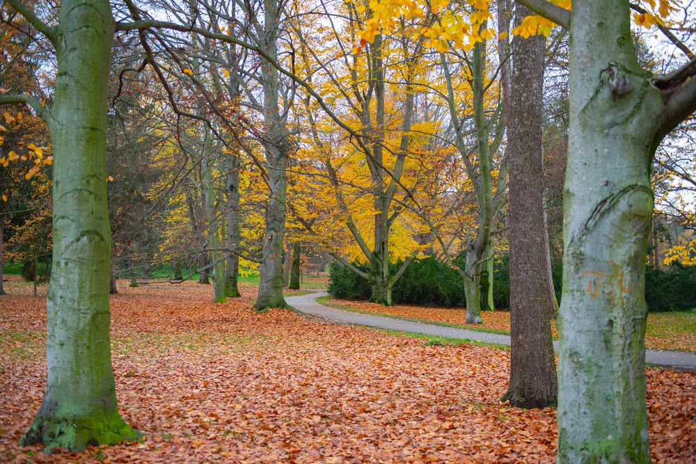 Photograph by Darina