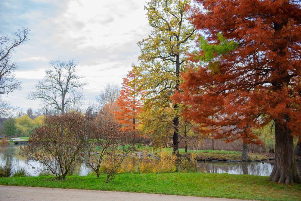 Photograph by Darina