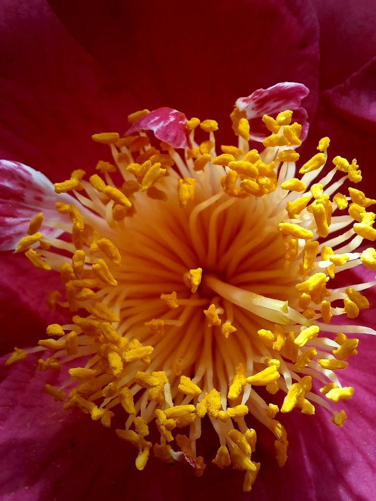 Photograph by Sonia Crotta