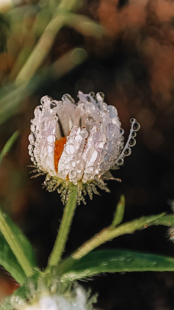 Photograph by Ольга Карева