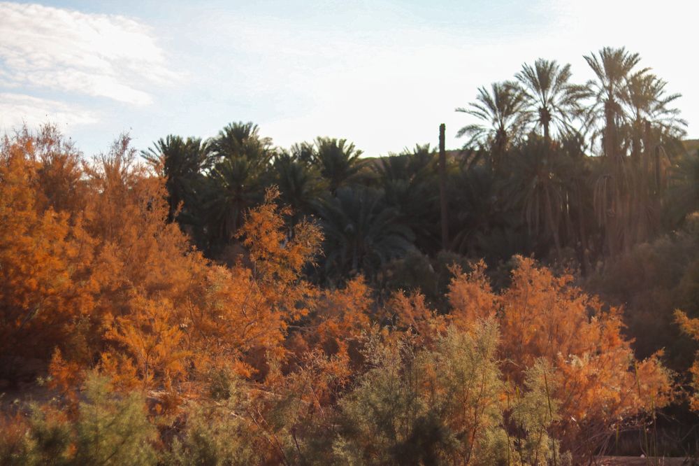 Photograph by Assal mouadh