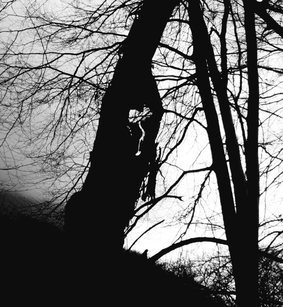 Photograph by Sonia Crotta