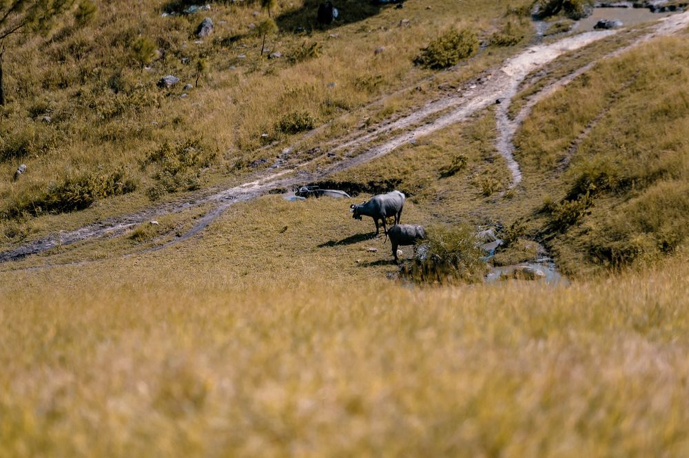 Photograph by Nguyễn Đức Huấn