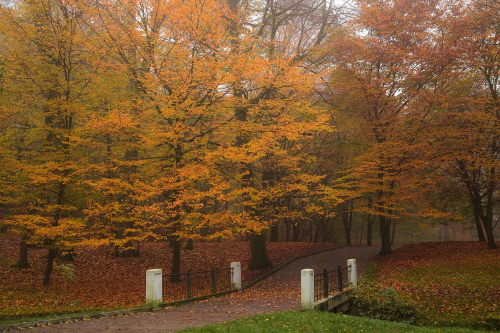 Photograph by Наталья Брюхненко