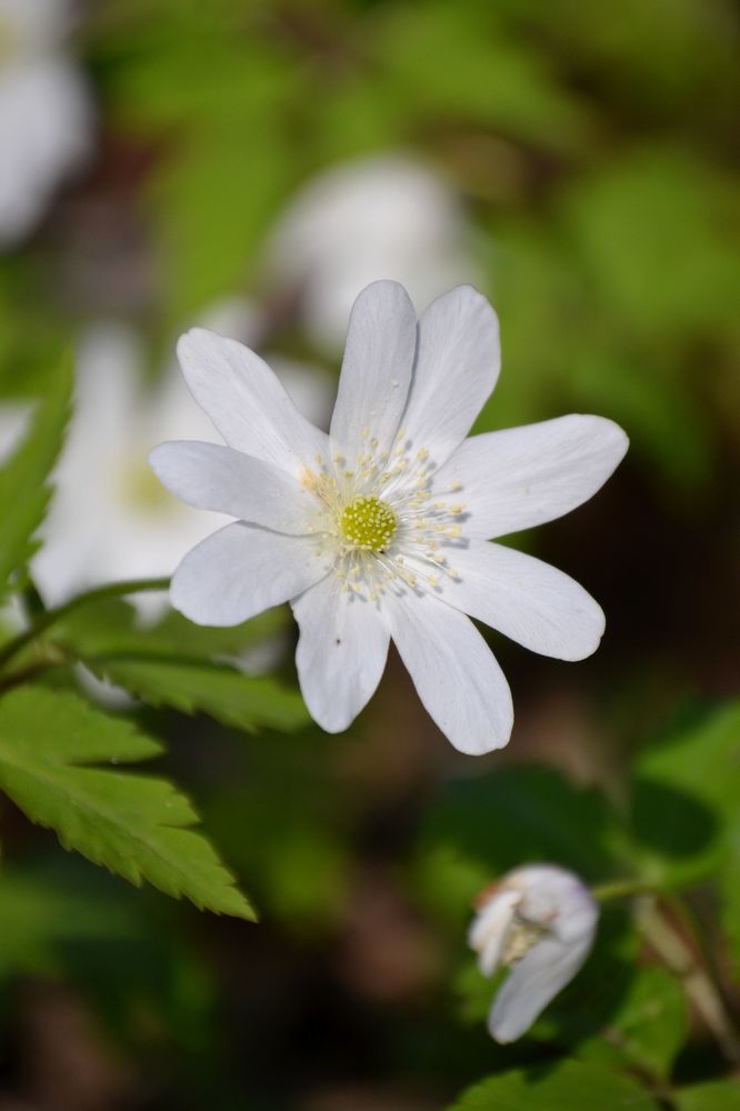 Photograph by Екатерина Шустова