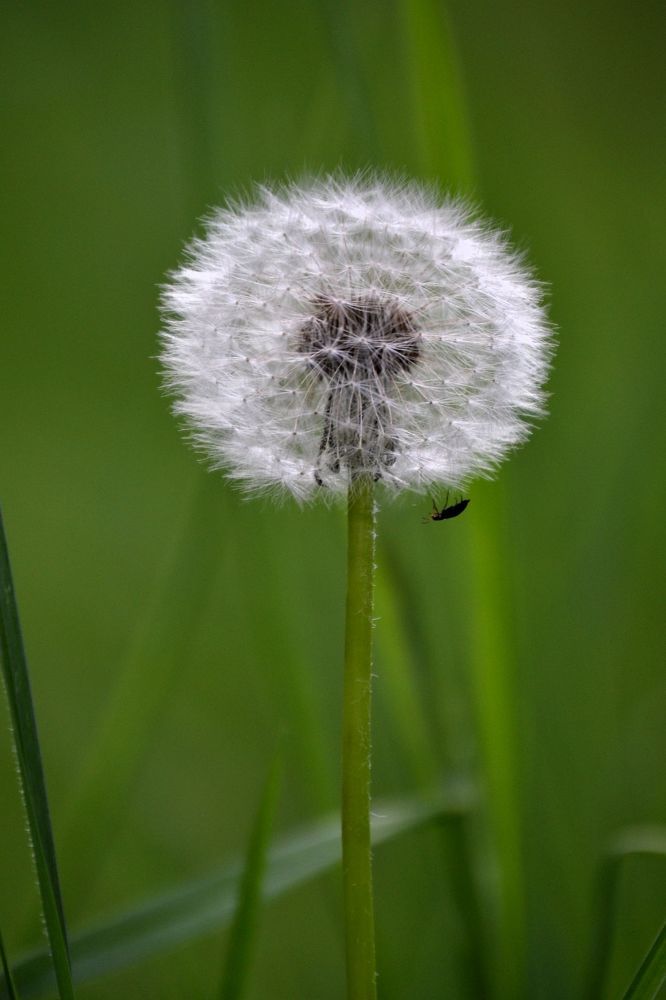 Photograph by Екатерина Шустова