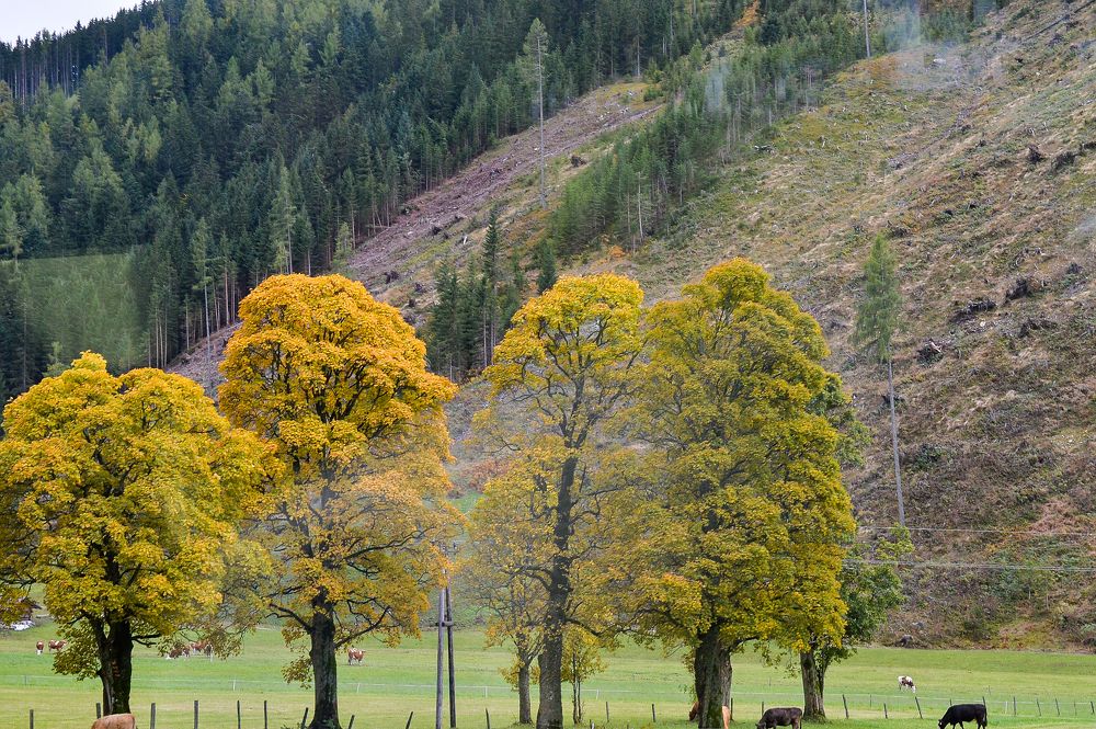 Photograph by NADEZHDA PELYMSKAIA