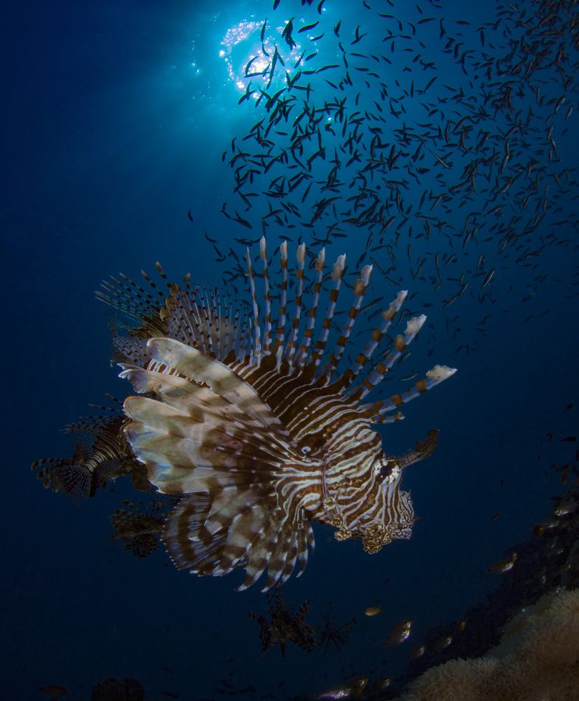 Photograph by Юрий Перевозников