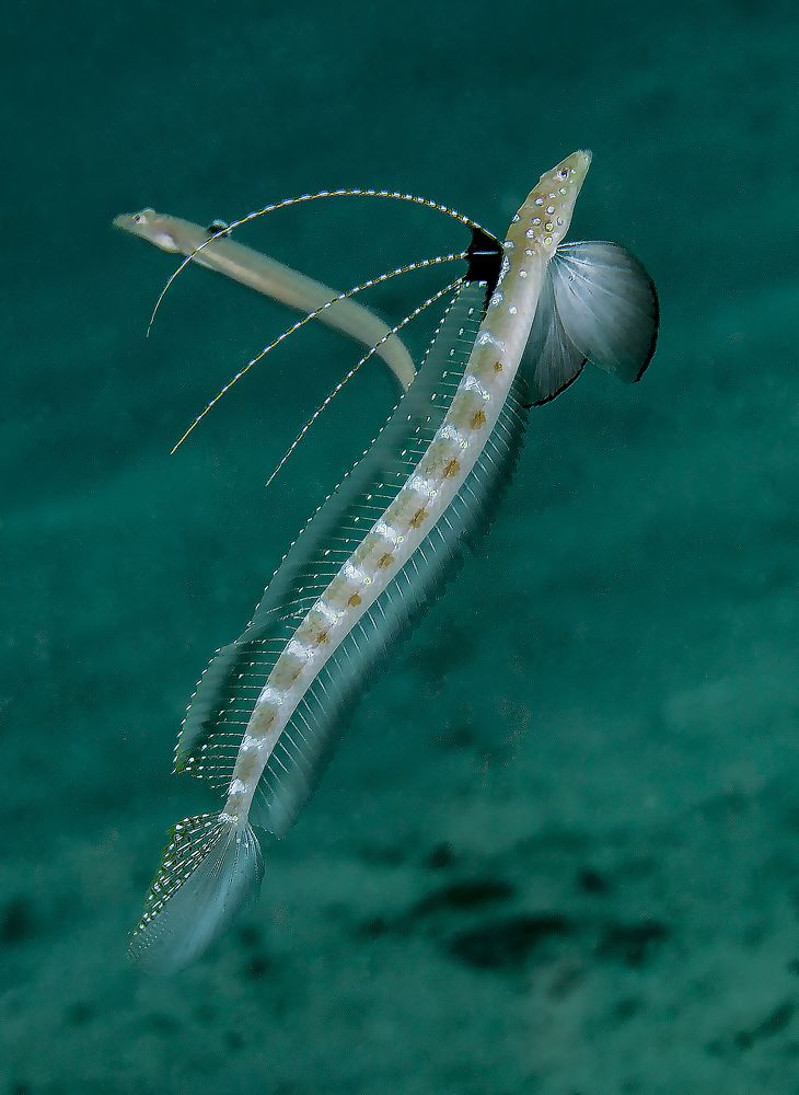 Photograph by Юрий Перевозников