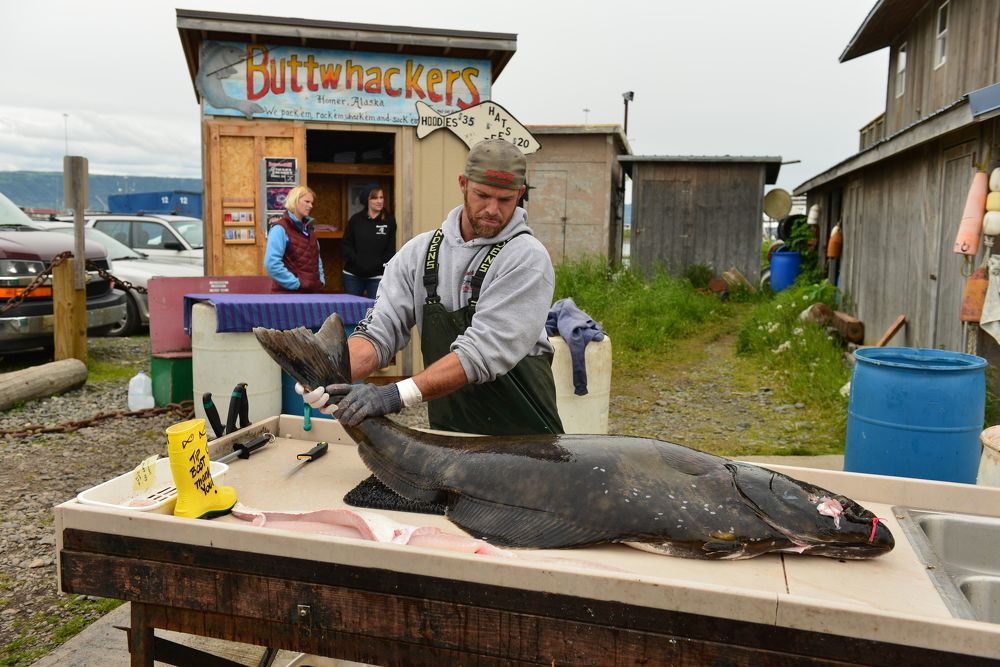 Photograph by NADEZHDA PELYMSKAIA