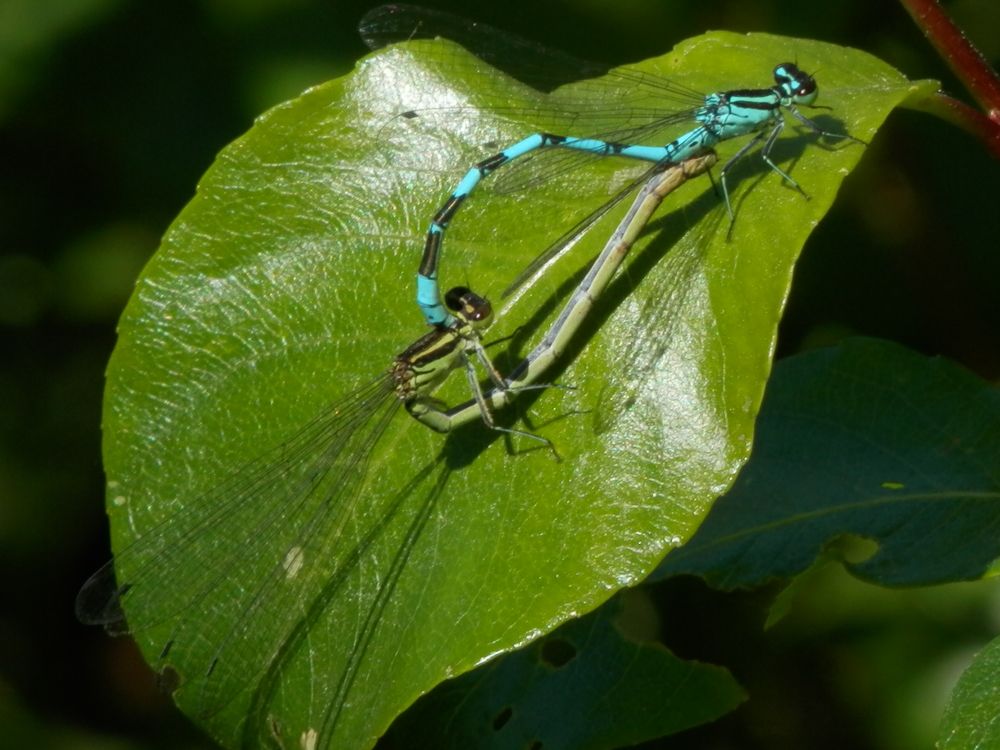 Photograph by Георгий Салюков