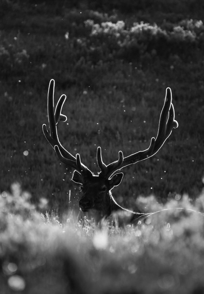 Photograph by Natalia