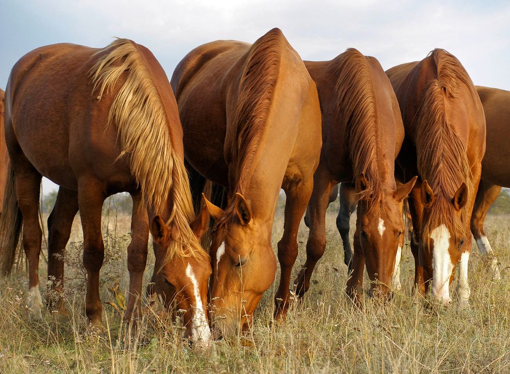 Photograph by Ольга Еремеева