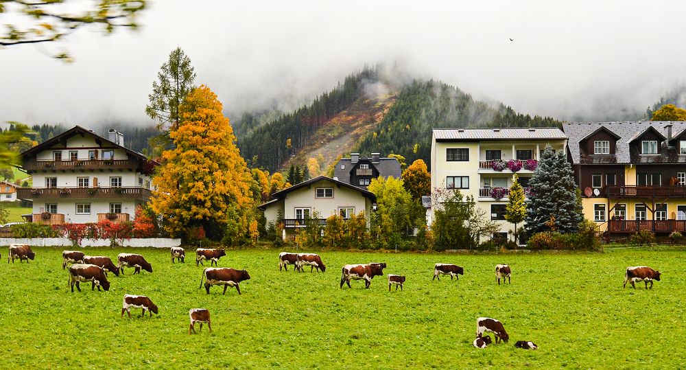 Photograph by NADEZHDA PELYMSKAIA