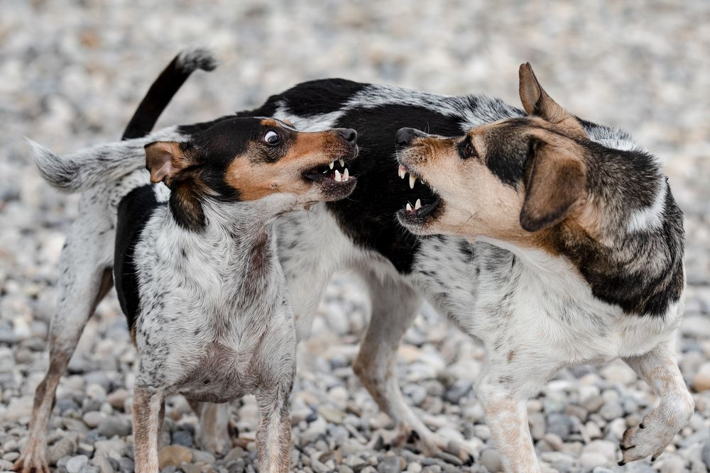 Photograph by Karoline Palme