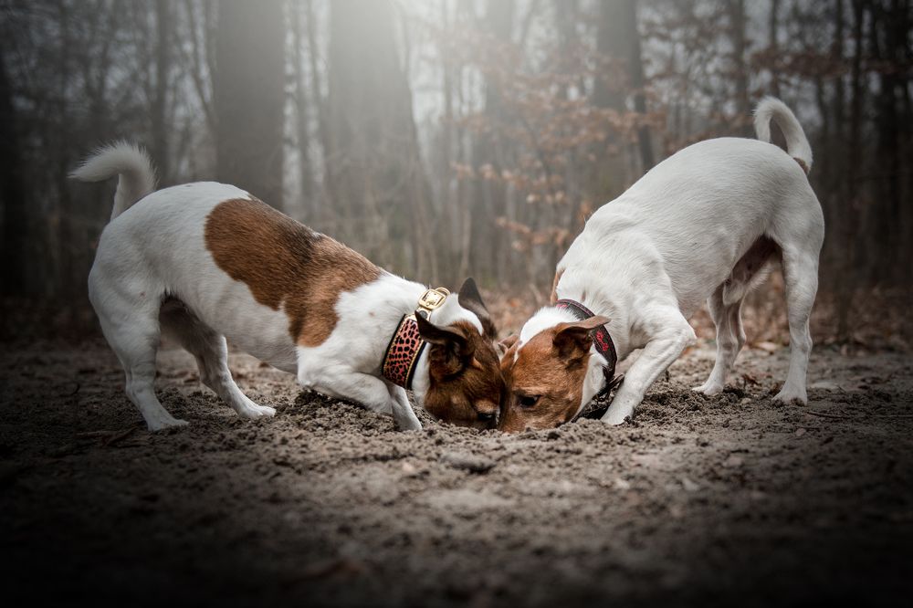 Photograph by Karoline Palme