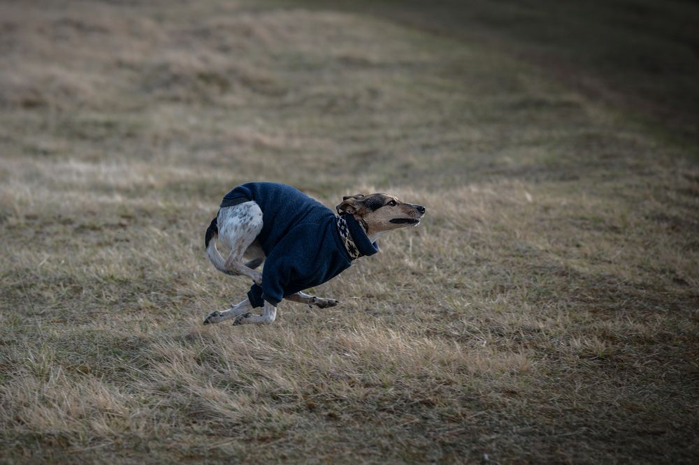 Photograph by Karoline Palme