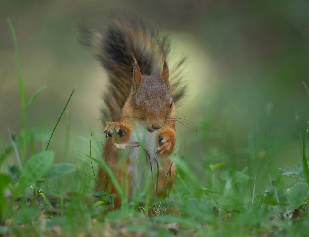 Photograph by Елена Хорохорина