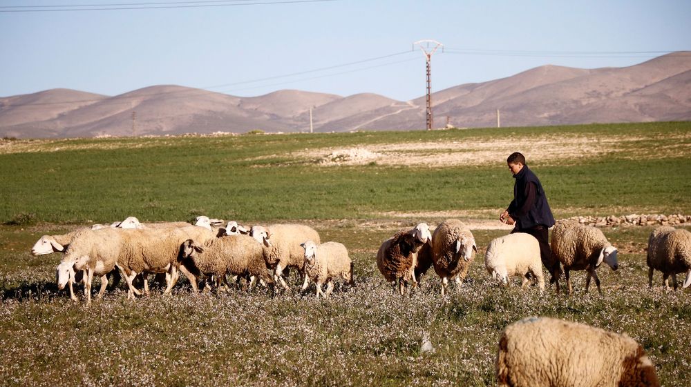 Photograph by Assal mouadh