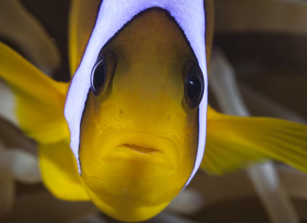 Photograph by Юрий Перевозников