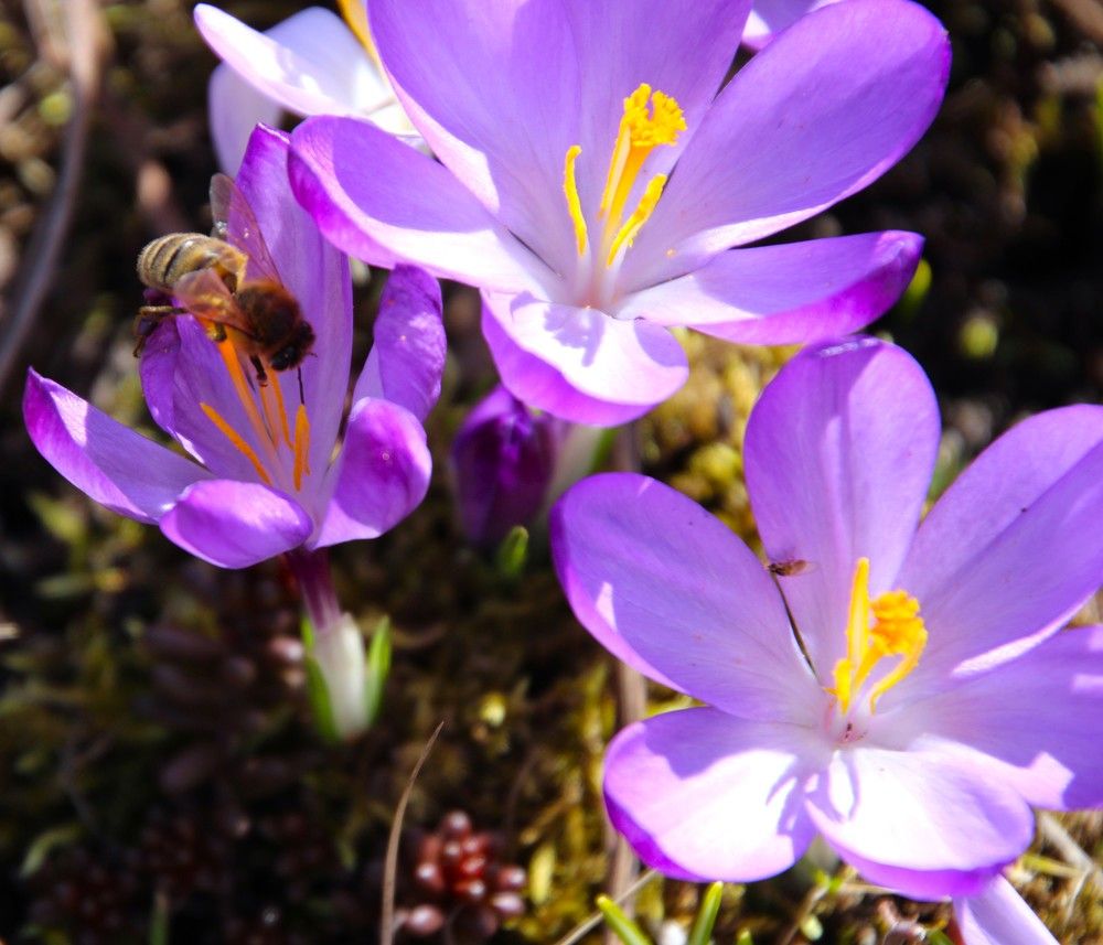 Photograph by Anna Baykova