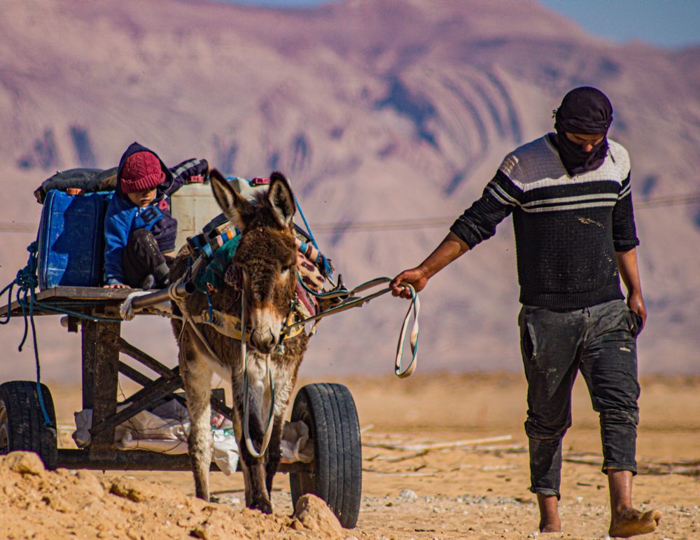 Photograph by Assal mouadh