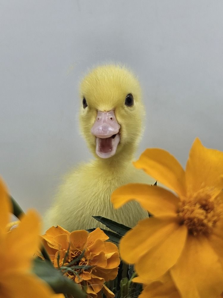 Photograph by даша ващенко