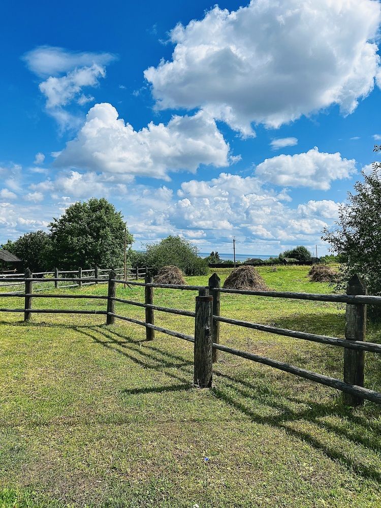 Photograph by Татьяна Зенина